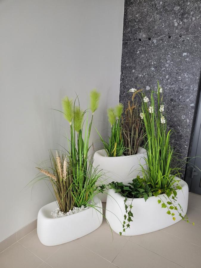 Polanki Aqua Apartment كولوبرزيغ المظهر الخارجي الصورة